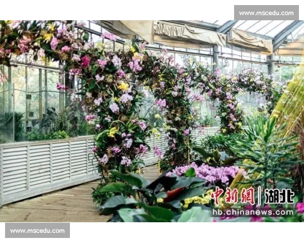 围绕兰比赛探讨传统花艺文化与现代生态保护融合发展的新路径实践